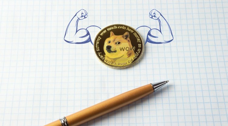 WHAT IS SHIBA INU: A New Competitor Coin on the Market