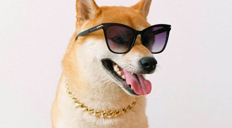 He bought  shiba coins for $ 3,400:They are now worth $ 1.55 billion!
