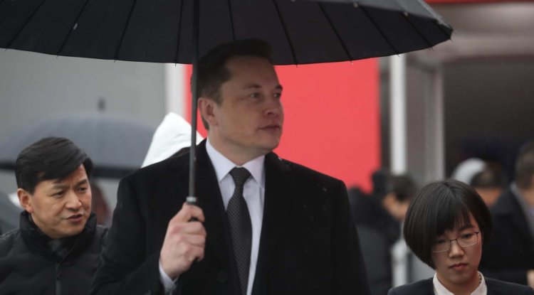 Elon Musk brings chaos to the Crypto Market!