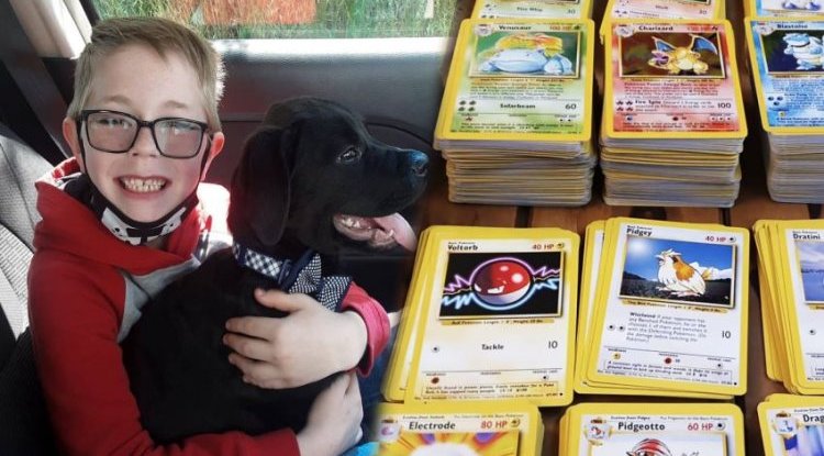 The eight-year-old who sold his precious collection to save his dog delighted the world with his gesture!