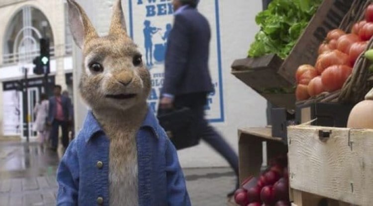 Enjoyment for the whole family! The long-awaited film Peter Rabbit: Runaway is here!