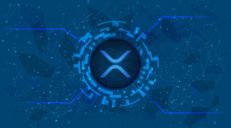 What is Ripple and Ripple Labs? What is XRP?