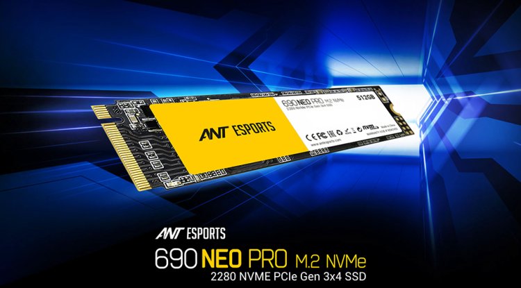 Ant Esports 690 Neo Pro 256GB M.2 NVMe Internal SSD