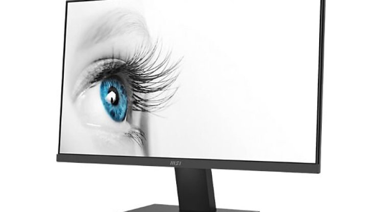 MSI PRO MP241X 24-Inch Full HD Computer Monitor