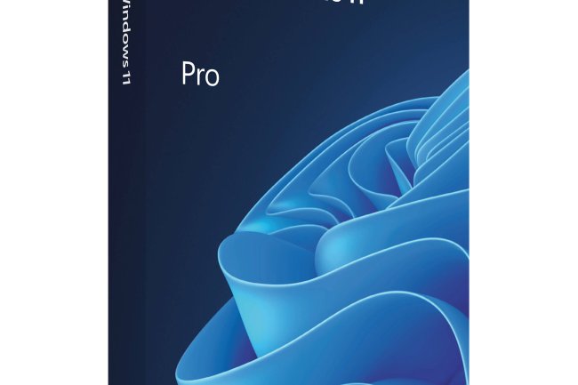 Microsoft Windows 11 Pro 64 Bit (Pen Drive USB 3.0)