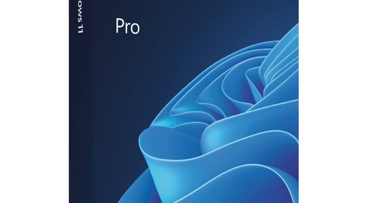 Microsoft Windows 11 Pro 64 Bit (Pen Drive USB 3.0)