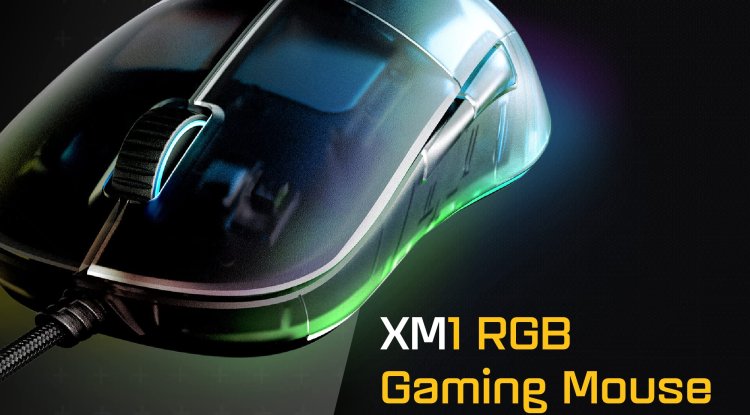 Endgame Gear XM1 RGB Gaming Mouse Dark Frost