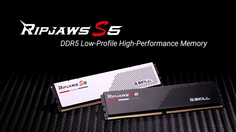 G.Skill Ripjaws S5 64GB (2x32GB) 6000MHz CL30 DDR5