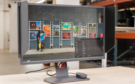 BenQ Zowie XL2566K: An Esports-Focused Monitor